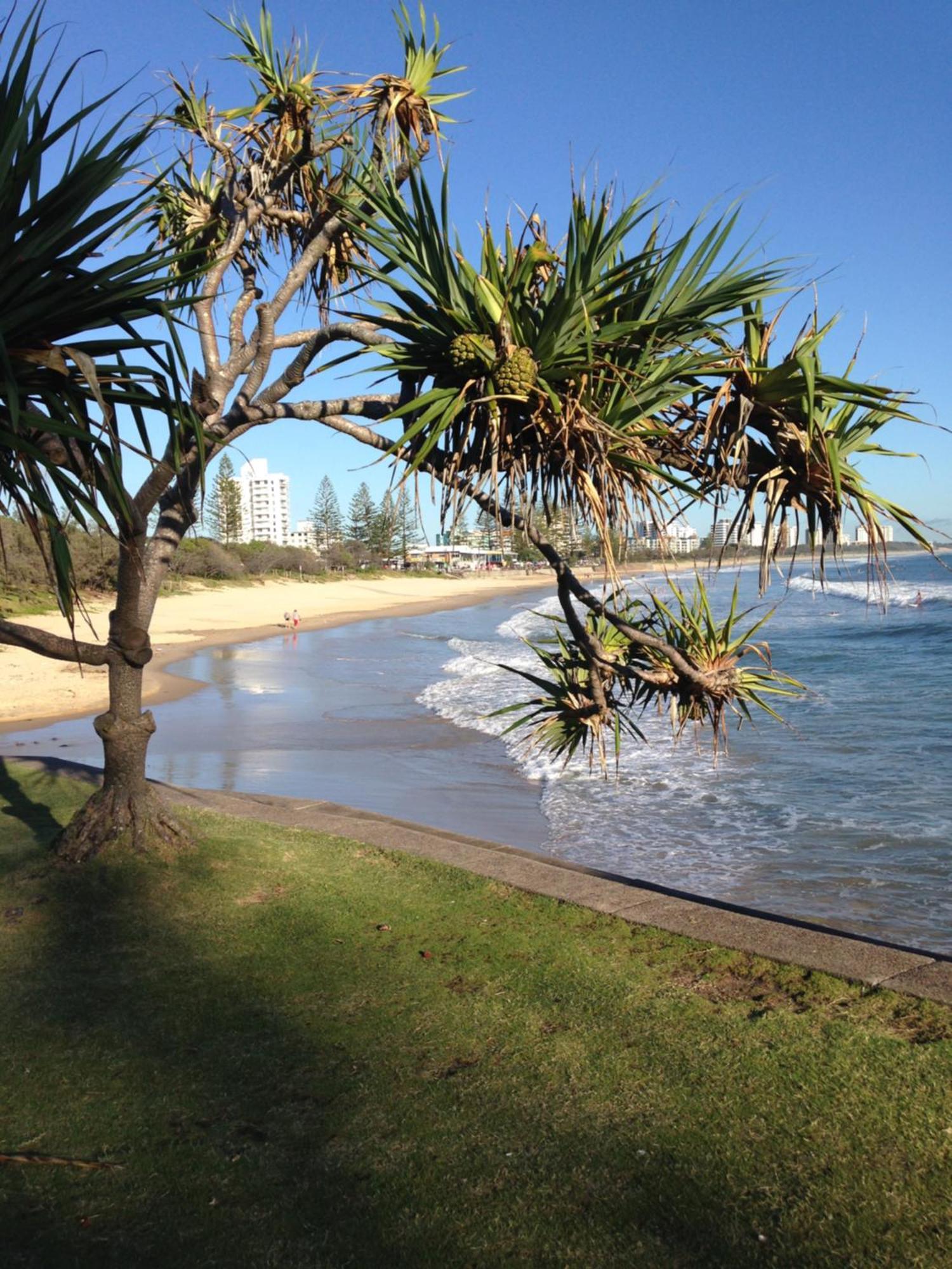 Grand Palais Boolarong Beachside Apartments アレクサンドラ・ヘッドランド エクステリア 写真